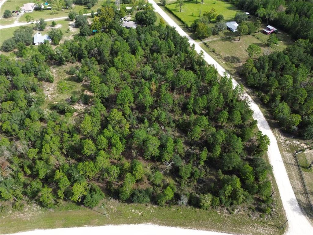 TBD NE 132ND COURT, WILLISTON, FL — photo 2 of 9