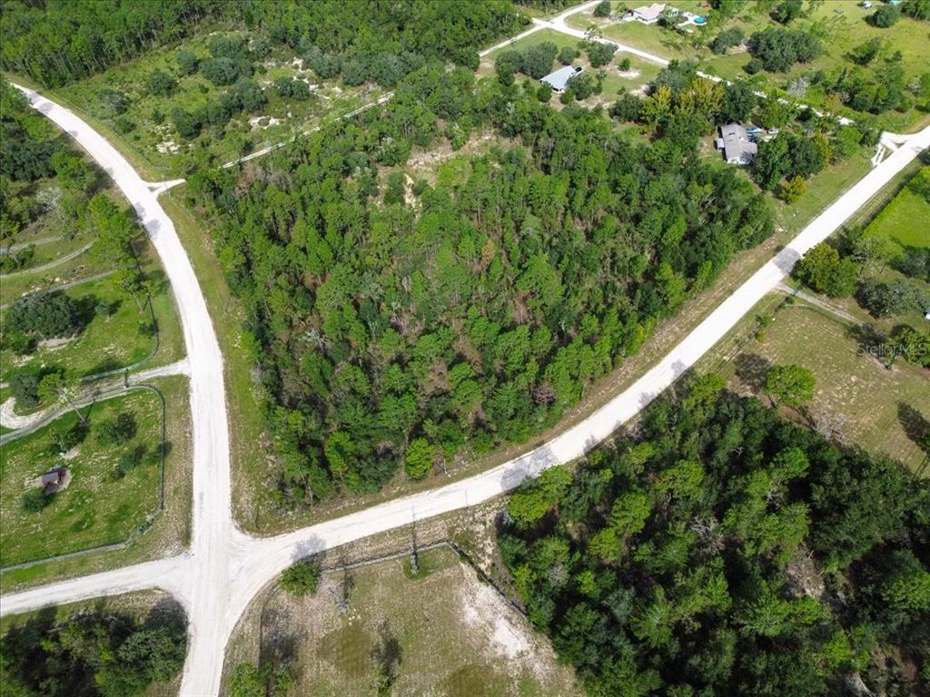 TBD NE 132ND COURT, WILLISTON, FL — photo 3 of 9