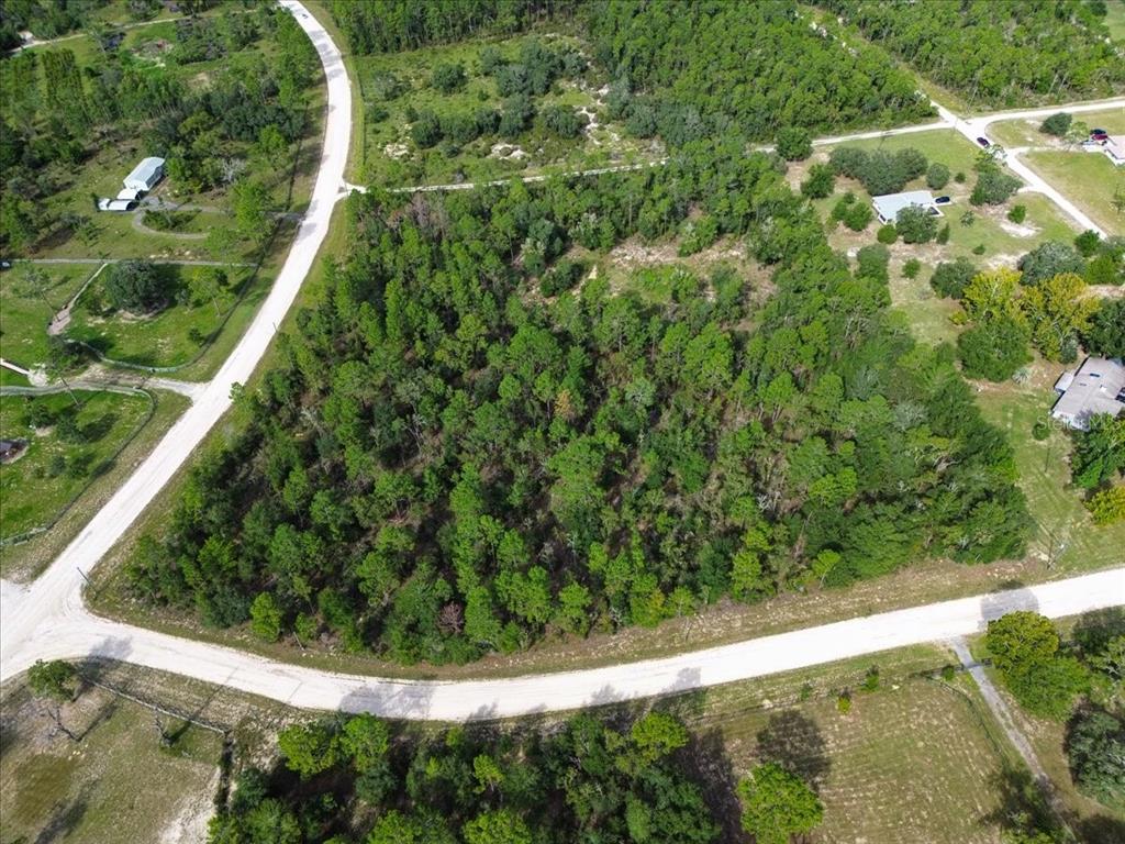 TBD NE 132ND COURT, WILLISTON, FL — photo 4 of 9