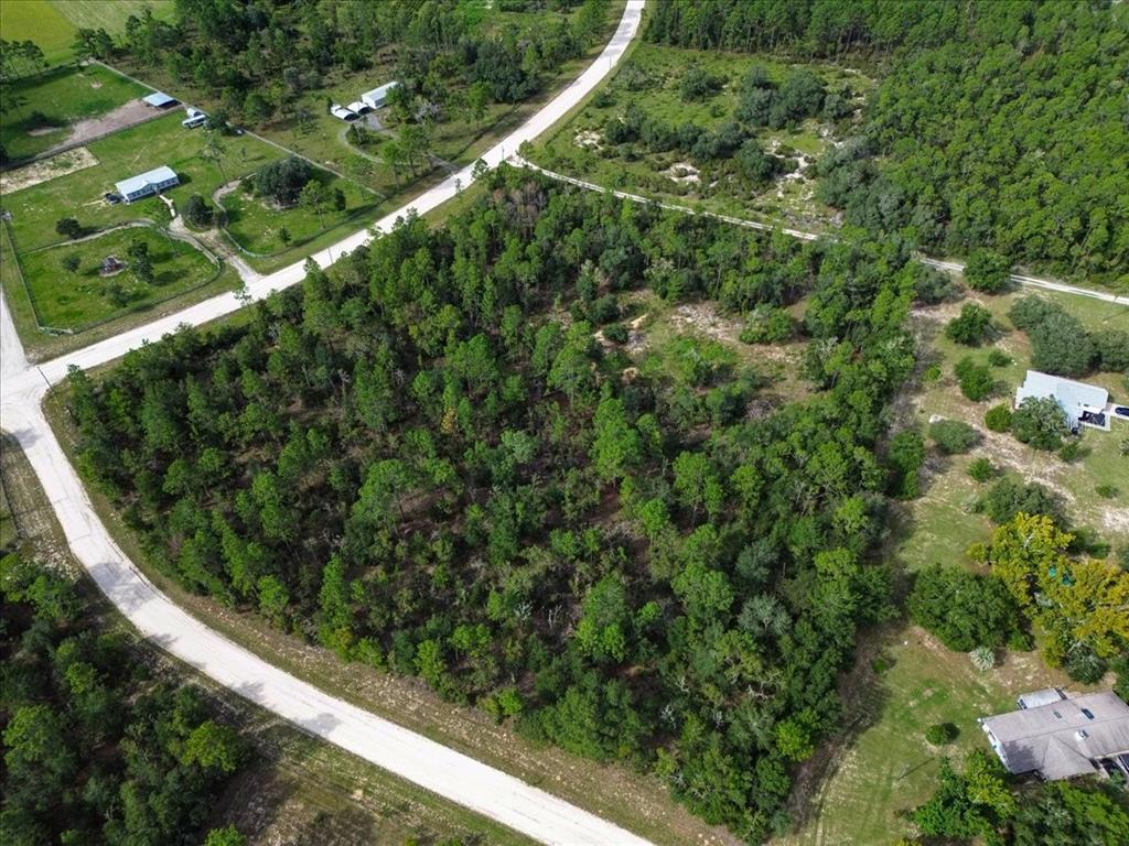 TBD NE 132ND COURT, WILLISTON, FL — photo 5 of 9