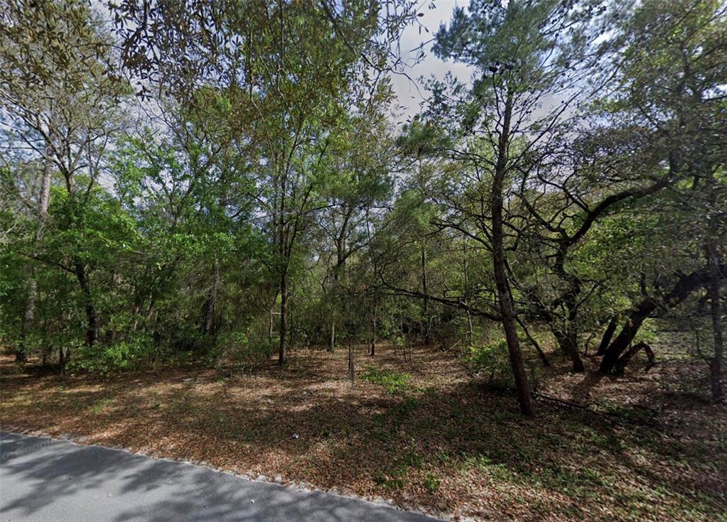 139 SILVER BEACH BOULEVARD, POMONA PARK, FL — photo 2 of 5