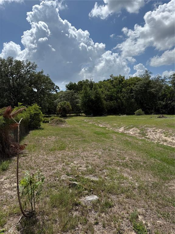 A grassy, partially cleared lot features scattered vegetation and a dense line of trees — 1401 N CANDLER AVENUE, ORLANDO, FL