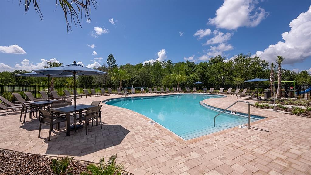 13524 SAWMILL STREET, PARRISH, FL — photo 4 of 10
