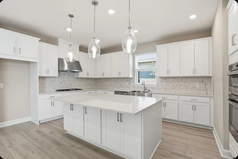 A bedroom with light gray walls, wood-look flooring, a tray ceiling, and a lake view — 7824 CASPIAN STREET, PALMETTO, FL