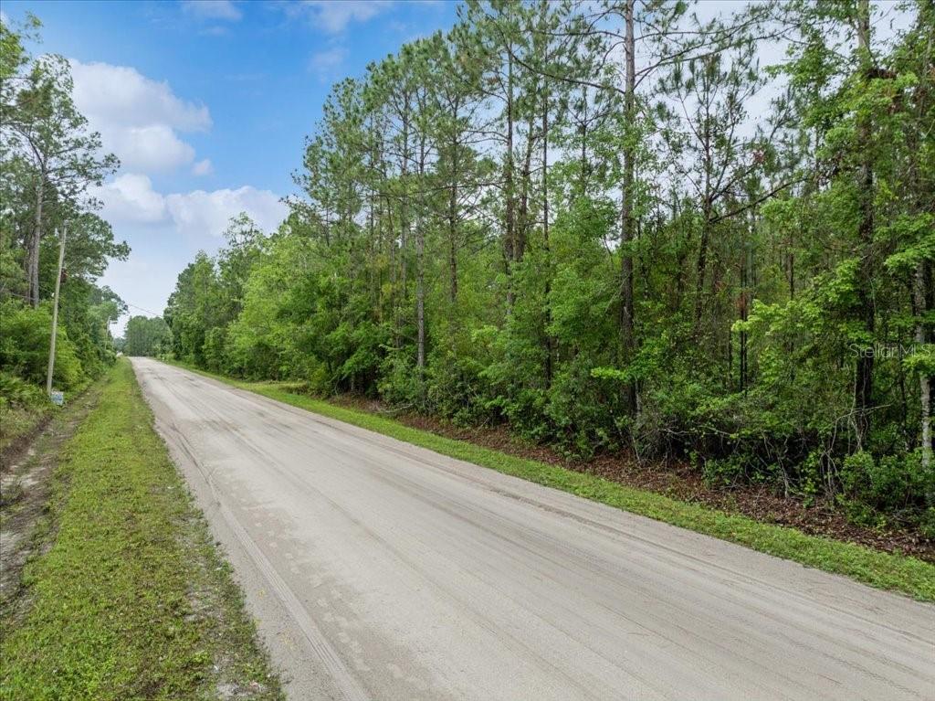 A dirt road runs alongside a dense forest under a blue sky — 1756 HAZELNUT STREET, BUNNELL, FL