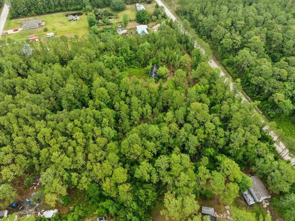 An aerial view shows a wooded lot with a small house nestled among the trees — 1756 HAZELNUT STREET, BUNNELL, FL