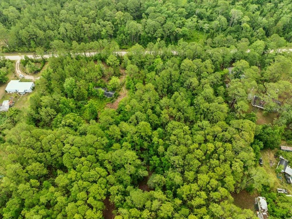 An aerial view shows a densely wooded lot with a small, partially obscured structure — 1756 HAZELNUT STREET, BUNNELL, FL