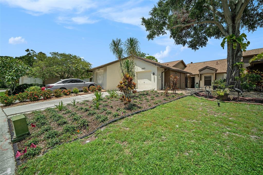 A single-story house with a beige exterior, a one-car garage, and a landscaped front yard — 1923 BAYSHORE COURT, SAFETY HARBOR, FL