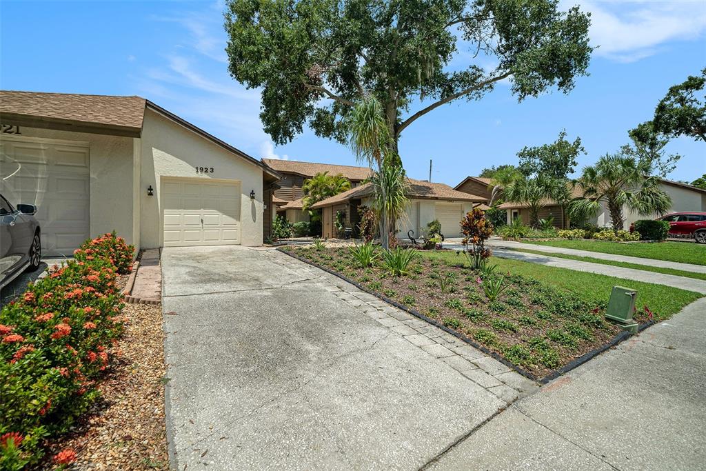 A concrete driveway leads to a single-story house with a garage and landscaped front yard — 1923 BAYSHORE COURT, SAFETY HARBOR, FL