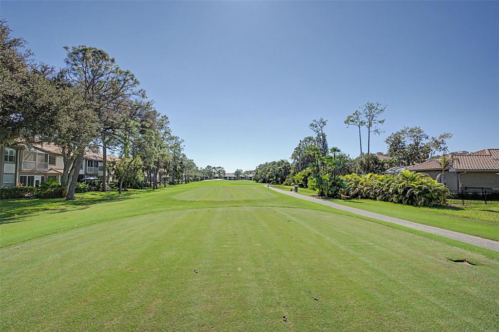 1290 CLAYS TRAIL UNIT 1403, OLDSMAR, FL — photo 2 of 61