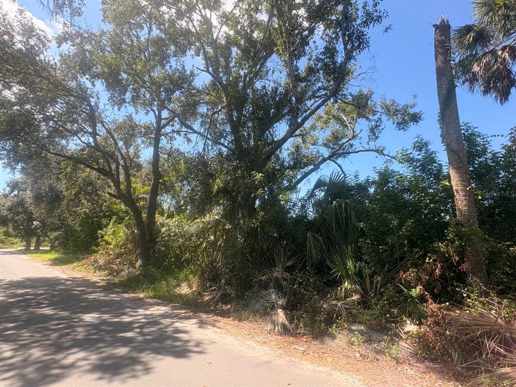 A paved road runs alongside a wooded lot with mature trees and dense vegetation — 2601 GOLDWYN DRIVE, RUSKIN, FL