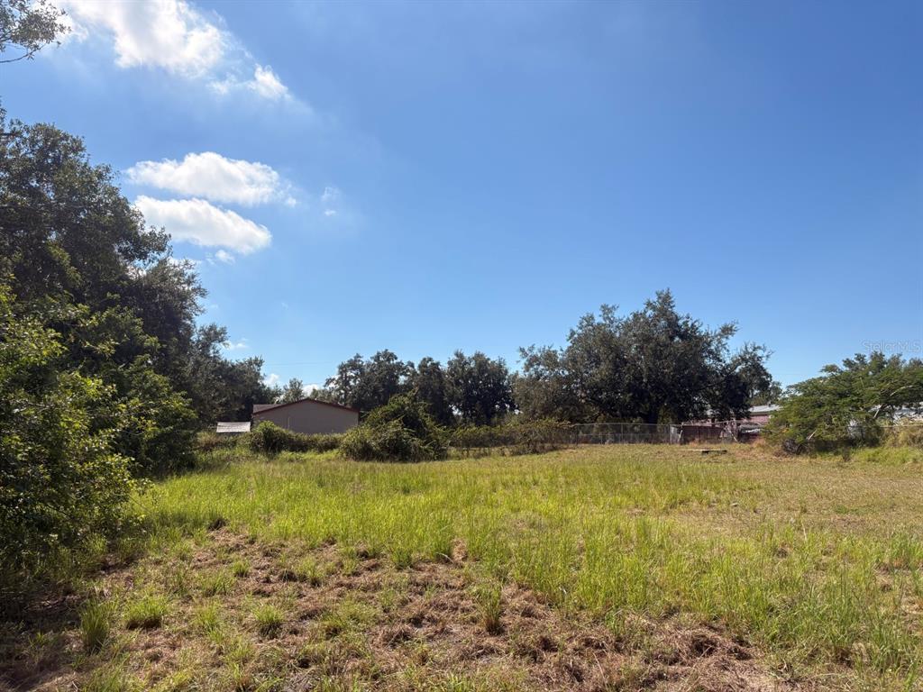 A grassy, undeveloped lot features scattered trees and a chain-link fence under a blue sky — 2601 GOLDWYN DRIVE, RUSKIN, FL