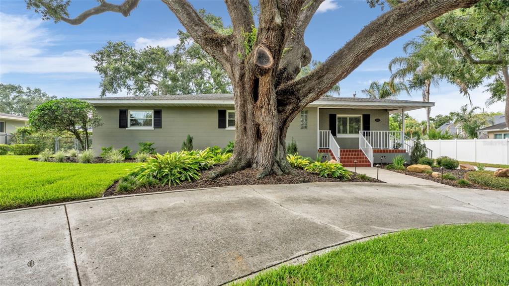 A single-story house with a large oak tree in the front yard and concrete driveway — 1522 DEL CREST PLACE, LAKELAND, FL