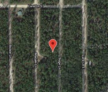 This is a satellite map view showing a wooded lot marked with a red location pin — 313 SUGE LANE, FLORAHOME, FL