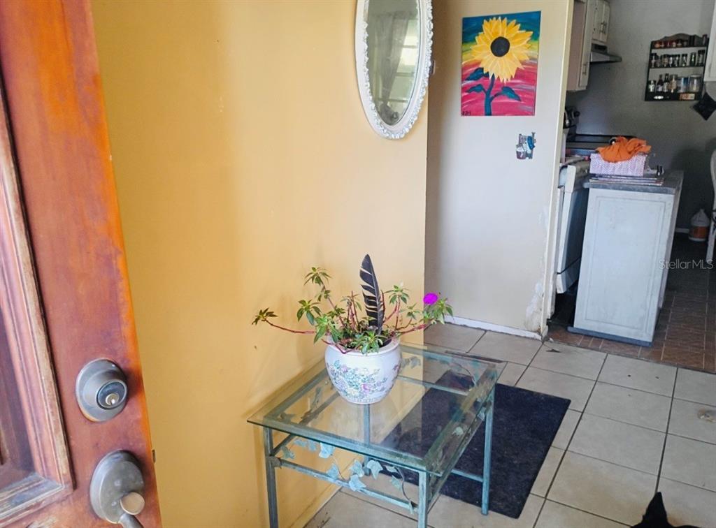 A glass-topped side table with a potted plant sits in an entryway near a kitchen — 27043 ROPER ROAD, BROOKSVILLE, FL