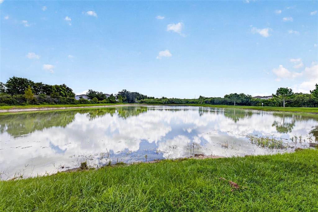 A grassy bank overlooks a calm pond reflecting the blue sky and scattered clouds — 7460 STONEBROOK CIRCLE, WESLEY CHAPEL, FL