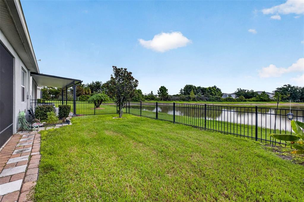 A backyard with a grassy lawn, a black metal fence, and a view of a pond — 7460 STONEBROOK CIRCLE, WESLEY CHAPEL, FL