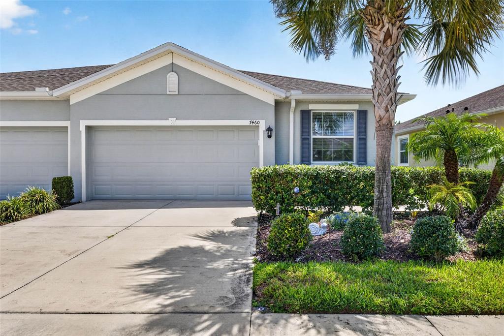A gray single-story house features a two-car garage, a palm tree, and landscaped shrubbery — 7460 STONEBROOK CIRCLE, WESLEY CHAPEL, FL