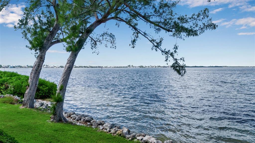 A grassy shoreline with trees overlooks a large body of water under a blue sky — 3840 MARINERS WAY UNIT 514A, CORTEZ, FL