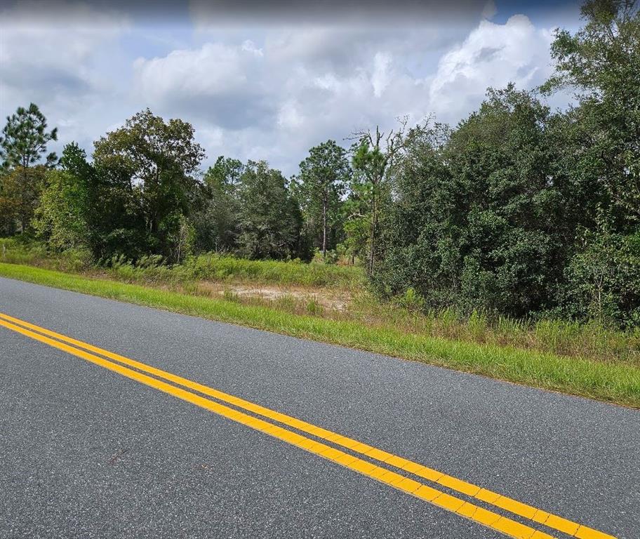 TBD SW BEACH BOULEVARD, DUNNELLON, FL — photo 2 of 9