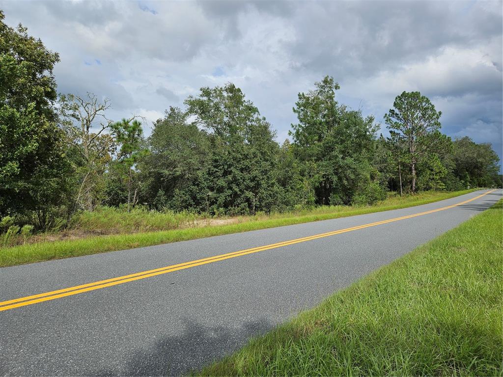 TBD SW BEACH BOULEVARD, DUNNELLON, FL — photo 3 of 9