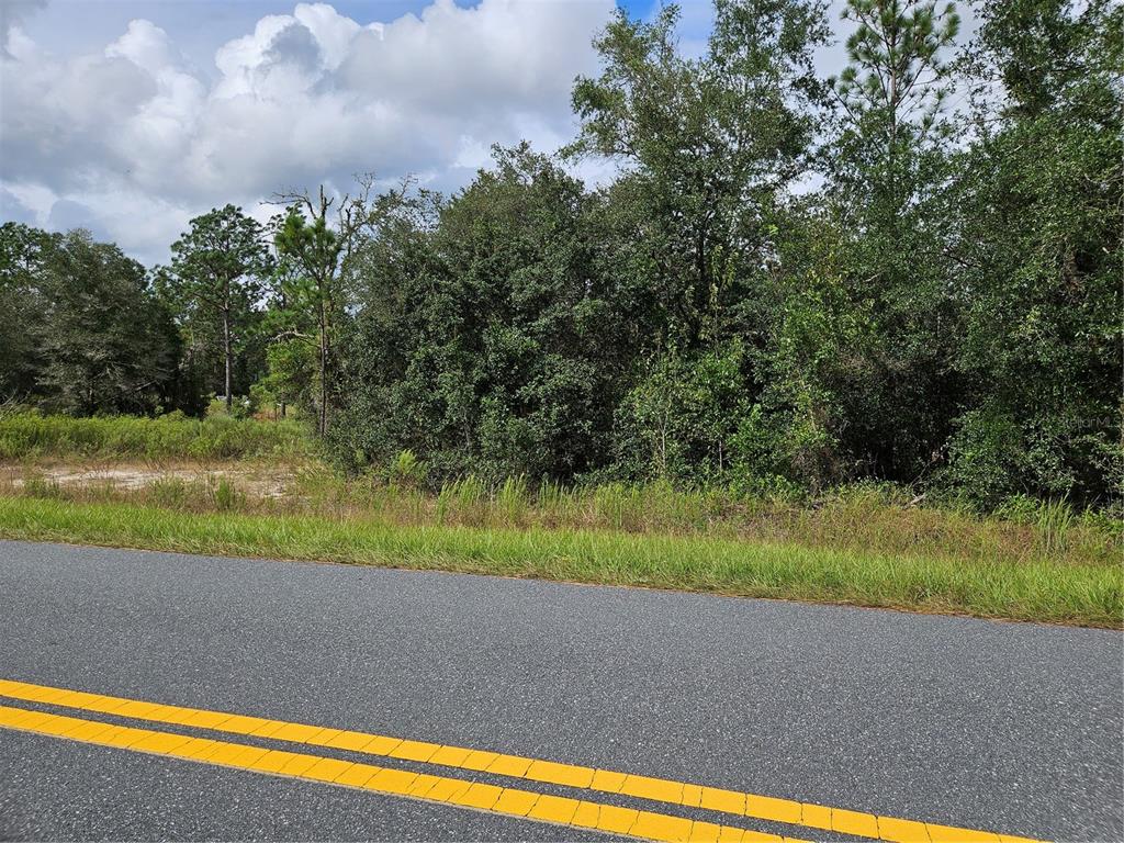 TBD SW BEACH BOULEVARD, DUNNELLON, FL — photo 4 of 9