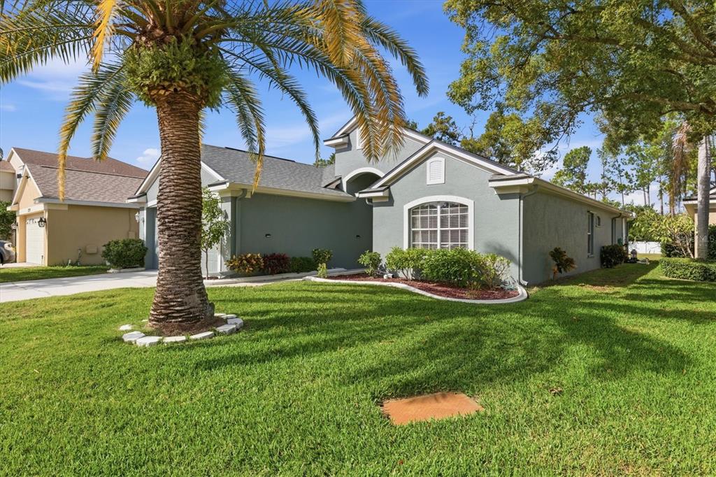 2743 BIG PINE DRIVE