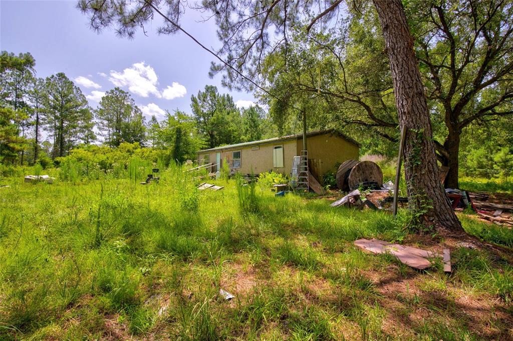 A weathered, single-story house sits in a grassy, overgrown lot surrounded by tall trees — 7320 NE 137TH PLACE, CITRA, FL