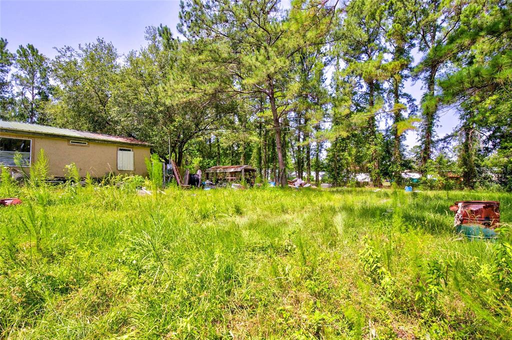 A grassy, overgrown backyard features a small house, a shed, and tall pine trees — 7320 NE 137TH PLACE, CITRA, FL