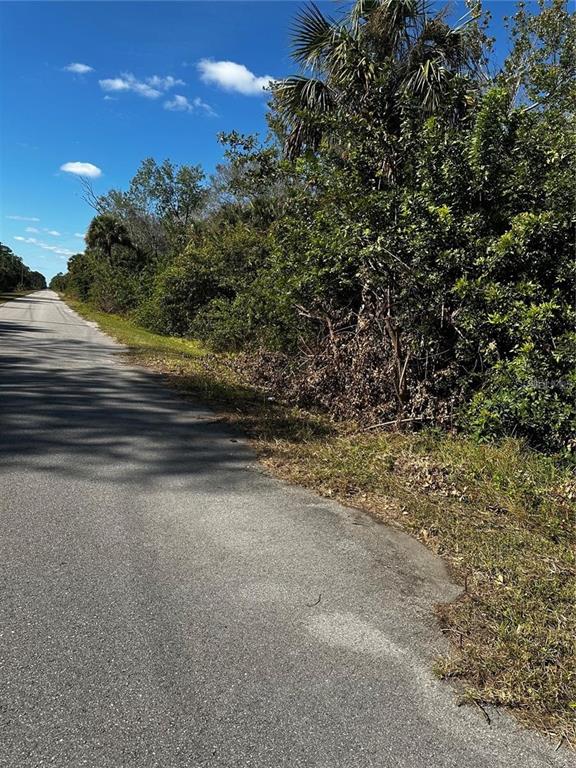A paved road runs alongside a dense area of trees and vegetation under a sky — 38TH AVE SE, NAPLES, FL