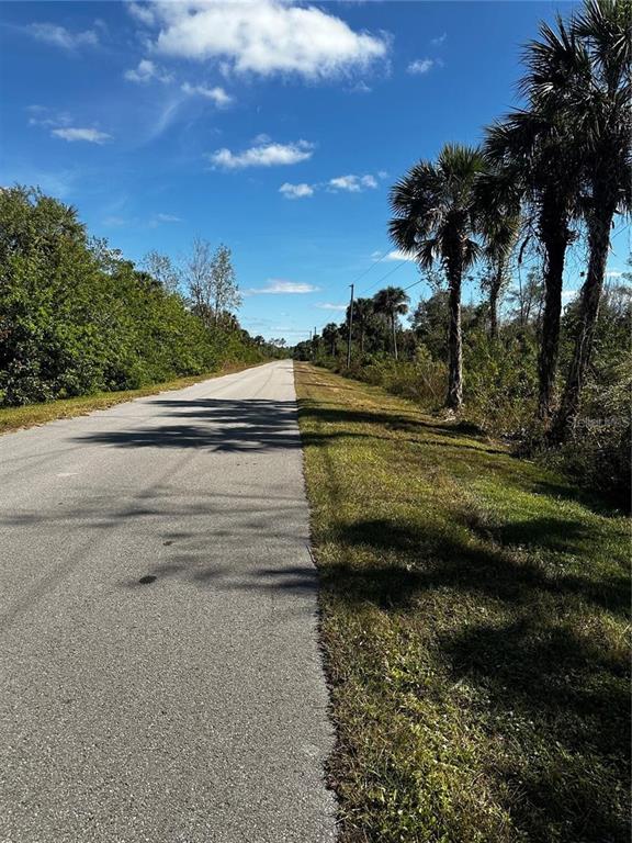 A paved road stretches into the distance, flanked by dense vegetation and tall palm trees — 38TH AVE SE, NAPLES, FL