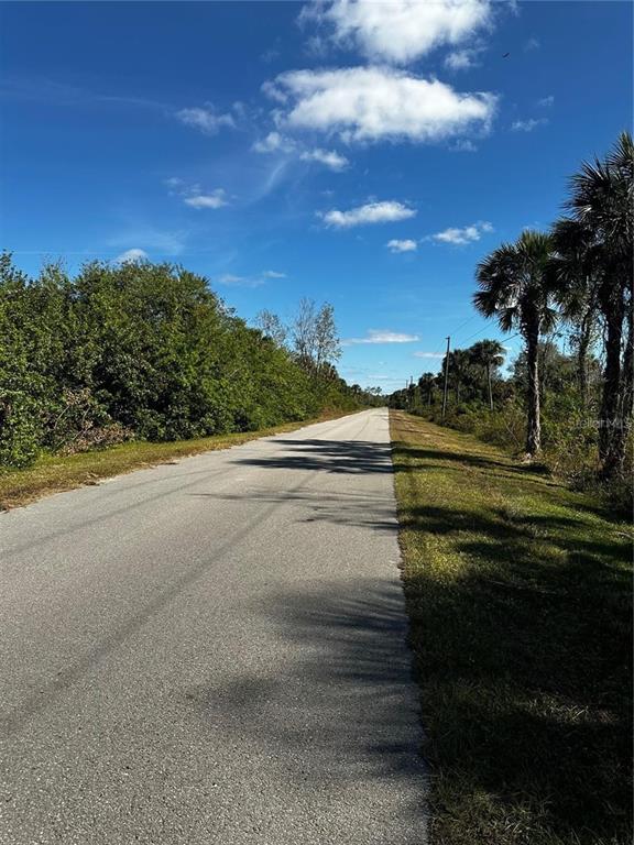 A paved road stretches into the distance, flanked by dense green vegetation and palm trees — 38TH AVE SE, NAPLES, FL