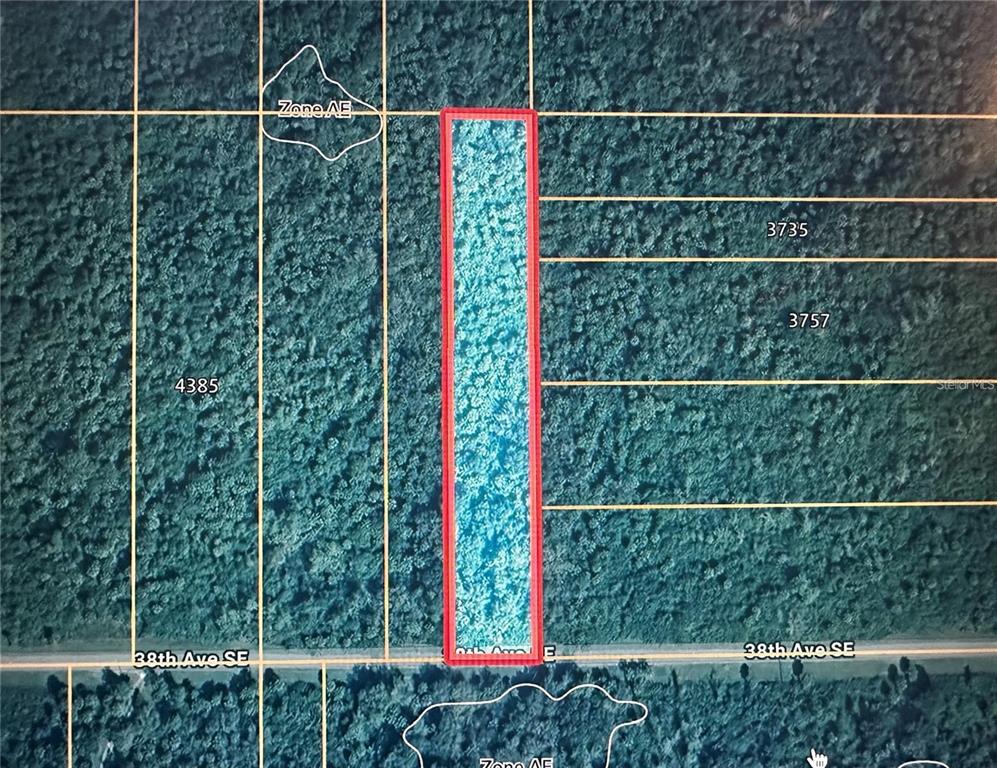 This aerial map shows a rectangular parcel of land highlighted in red along a road — 38TH AVE SE, NAPLES, FL