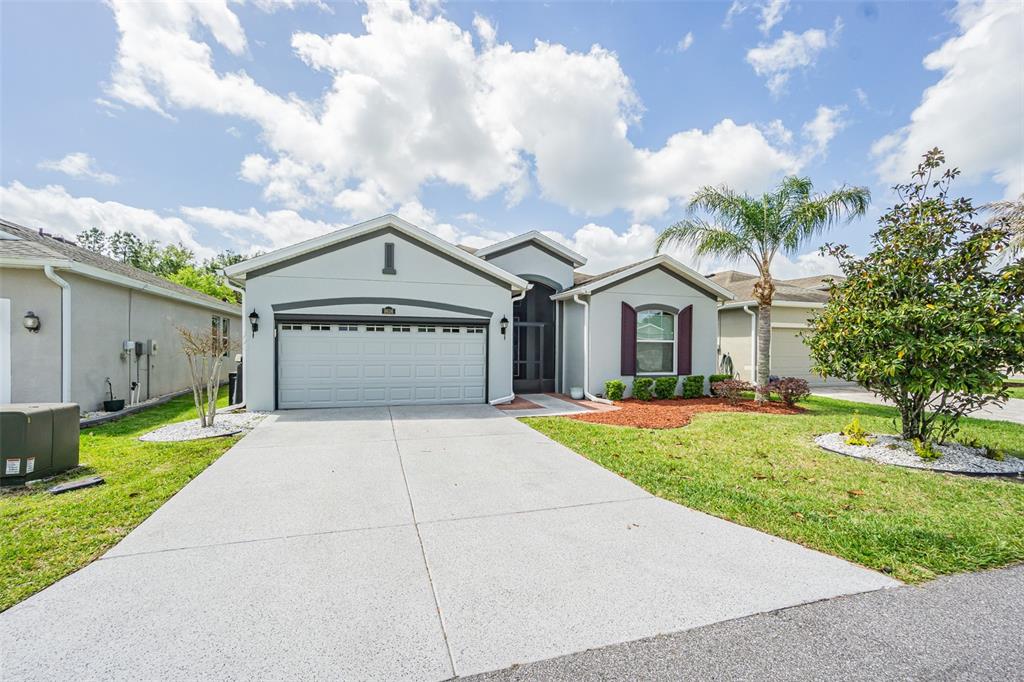 A single-story house with a two-car garage, a concrete driveway, and a palm tree — 9936 GAP WEDGE DRIVE, SAN ANTONIO, FL