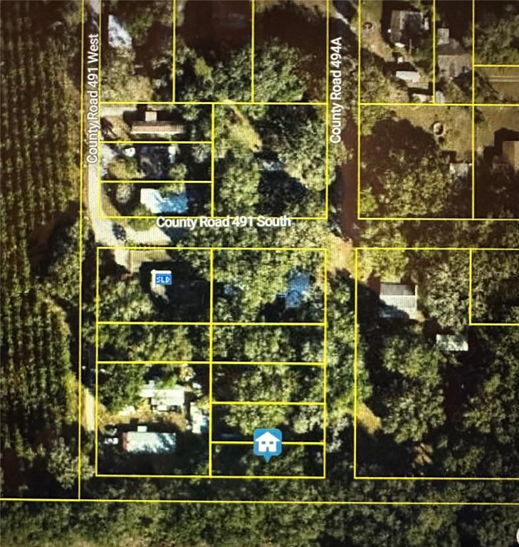 An aerial map shows property lines overlaid on a wooded residential area with several houses — LOT #6, LAKE PANASOFFKEE, FL