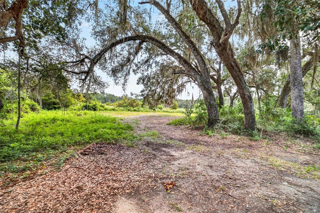 5686 E HIGHWAY 316, CITRA, FL — photo 3 of 30