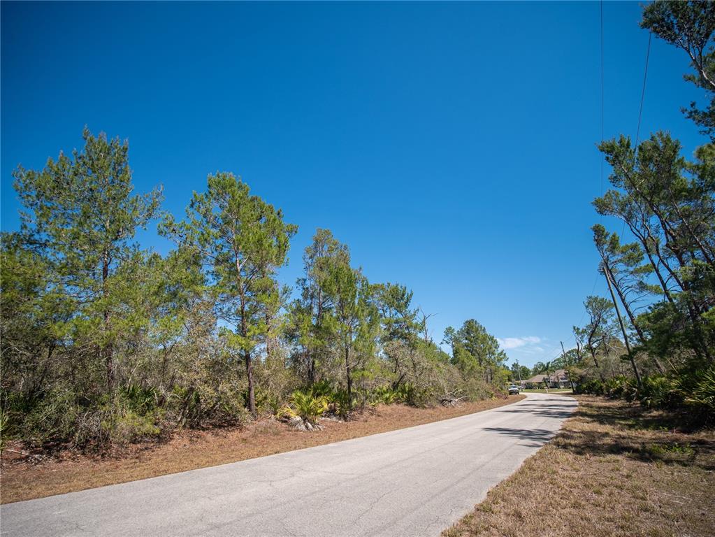 936 BREEZY ROAD, LAKE PLACID, FL — photo 2 of 8