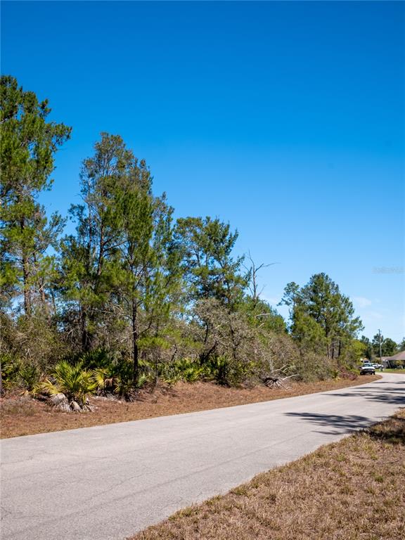 936 BREEZY ROAD, LAKE PLACID, FL — photo 4 of 8