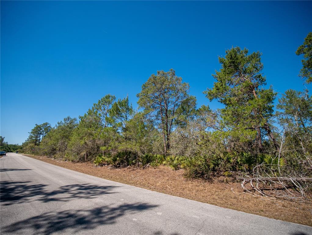936 BREEZY ROAD, LAKE PLACID, FL — photo 5 of 8