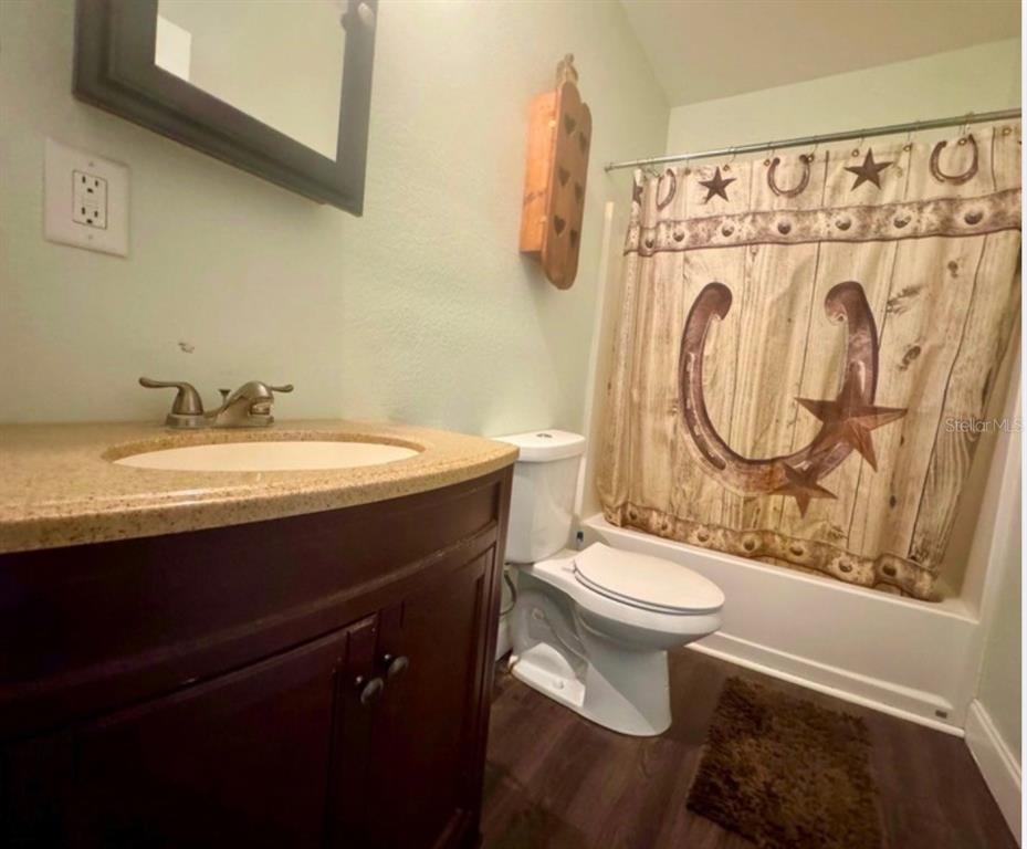 A bathroom features a dark wood vanity, a tan countertop, and a western-themed shower curtain — 117 S MANATEE AVENUE, ARCADIA, FL