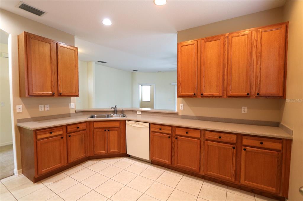 4027 LANGDRUM DRIVE, WESLEY CHAPEL, FL — photo 2 of 24