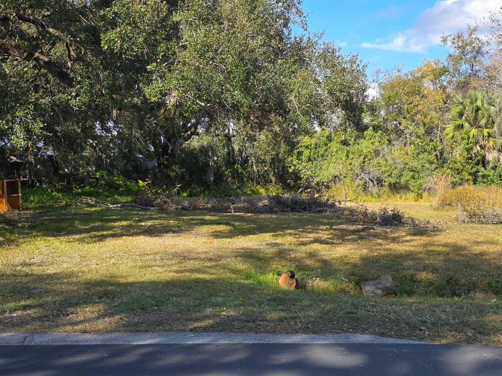 A vacant, grassy residential lot features scattered tree debris and dense woods in the background — 403 GREENUP STREET, KISSIMMEE, FL