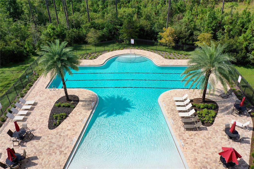 An aerial view of a swimming pool with palm trees and lounge chairs on a patio — 148 S COOPERS HAWK WAY, PALM COAST, FL