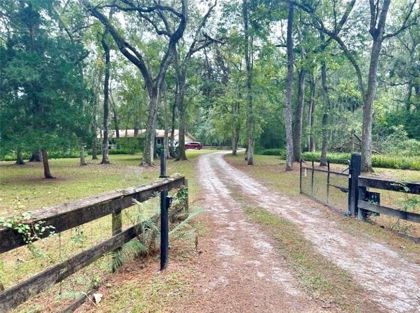 A dirt driveway leads through a wooded yard toward a house behind a wooden fence — 24392 LANARK ROAD, BROOKSVILLE, FL