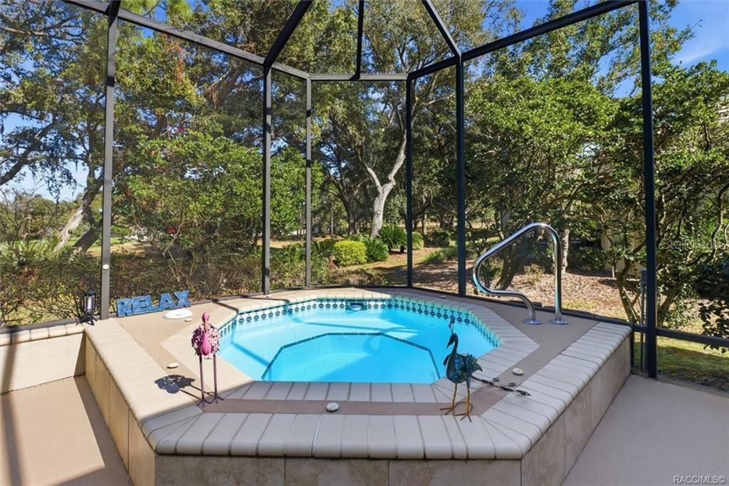 An outdoor hexagonal hot tub sits inside a screened-in lanai surrounded by trees — 3033 N CAVES VALLEY PATH, LECANTO, FL