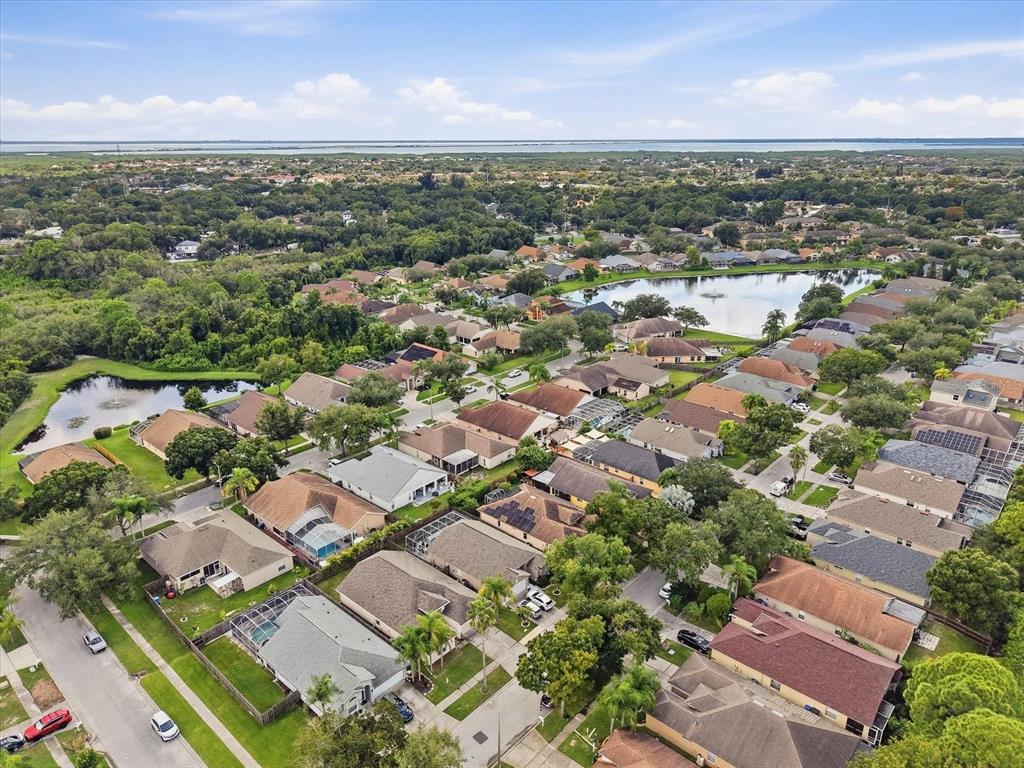 10271 OASIS PALM DR, TAMPA, FL — photo 5 of 30