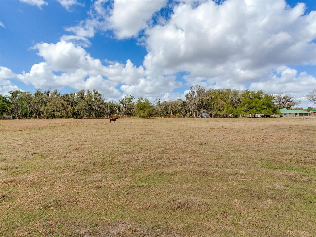A brown horse stands in a large, open pasture with trees in the background — 0 S CR 39, LITHIA, FL