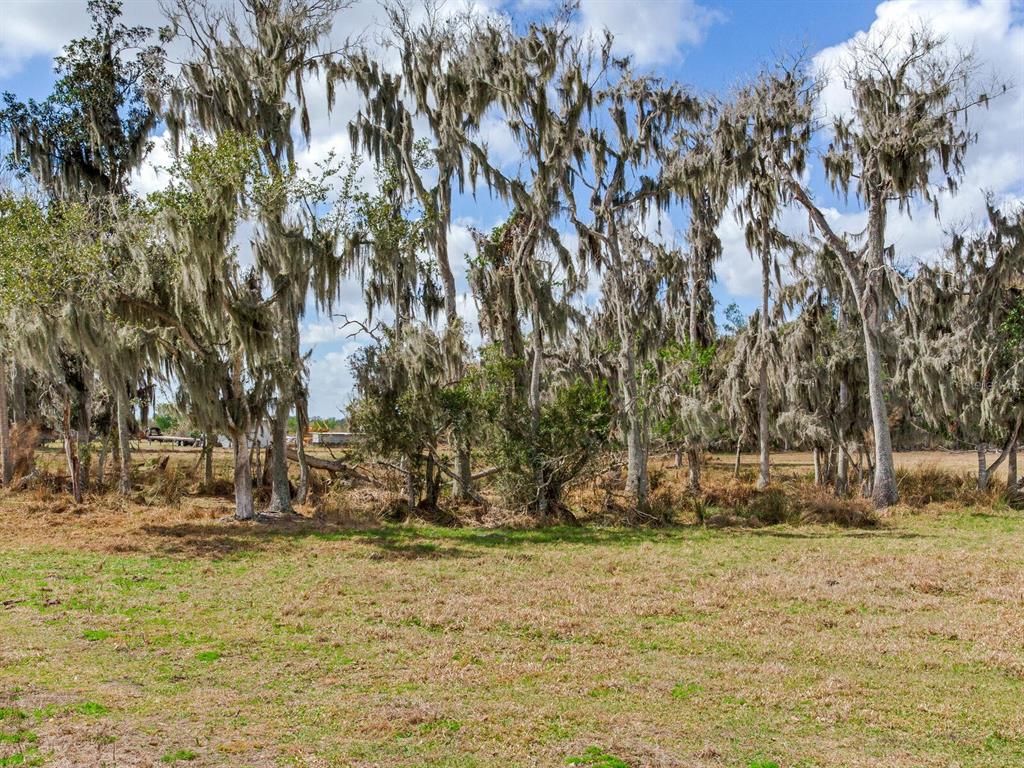 A grassy field sits in front of a line of trees draped in Spanish moss — 0 S CR 39, LITHIA, FL