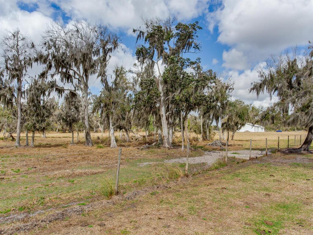 A fenced, grassy field features several large trees draped in Spanish moss under a cloudy sky — 0 S CR 39, LITHIA, FL