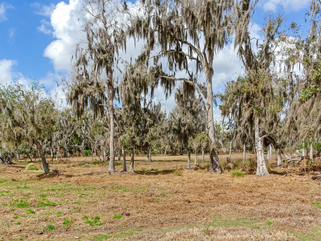 A grassy field features several large trees draped in Spanish moss under a cloudy sky — 0 S CR 39, LITHIA, FL
